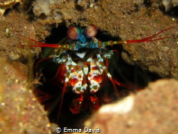 My Hole! by Emma Davis 